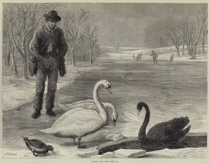 Frozen Out by Ebenezer Newman Downard